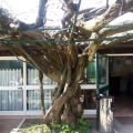 open_park_tennnis_3